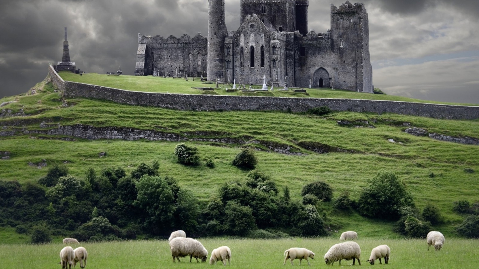 Fondo de pantalla Ireland Landscape With Sheep And Castle 1600x900