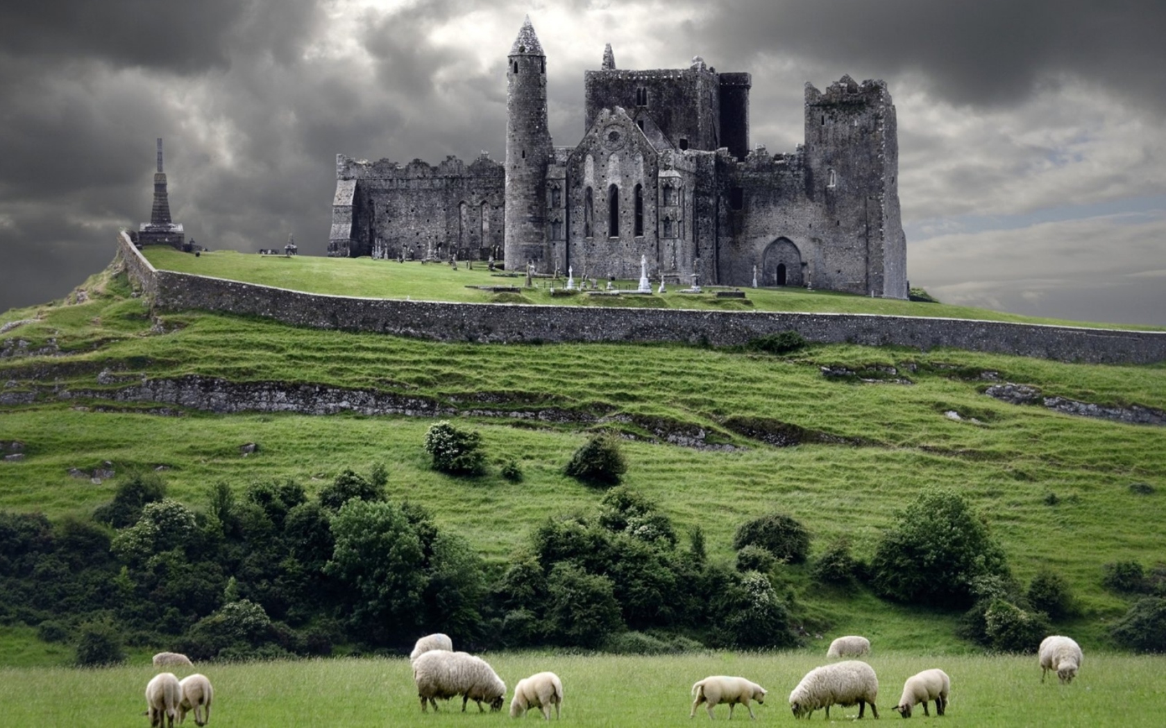 Ireland Landscape With Sheep And Castle wallpaper 1680x1050