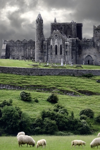 Fondo de pantalla Ireland Landscape With Sheep And Castle 320x480