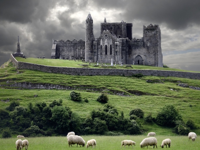Sfondi Ireland Landscape With Sheep And Castle 640x480