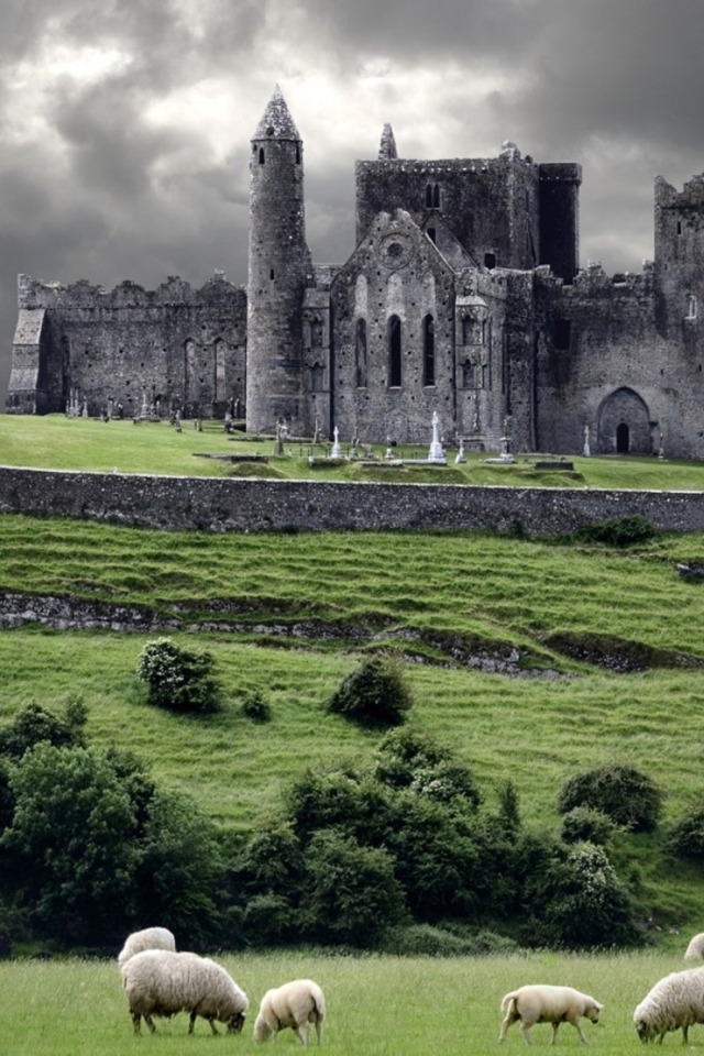 Sfondi Ireland Landscape With Sheep And Castle 640x960