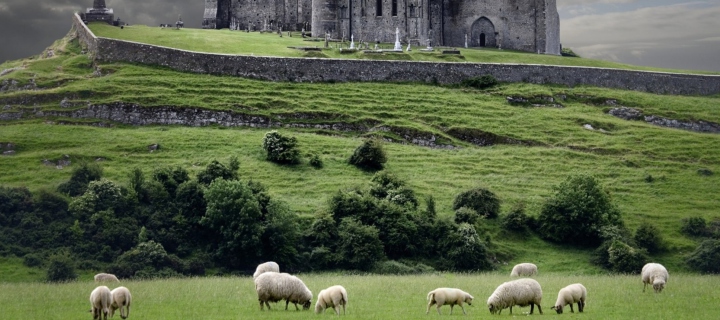 Sfondi Ireland Landscape With Sheep And Castle 720x320