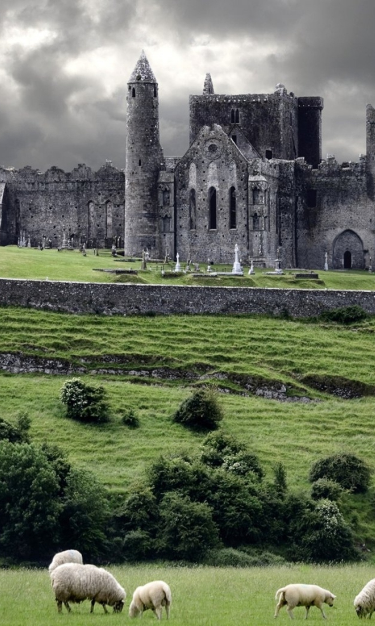 Das Ireland Landscape With Sheep And Castle Wallpaper 768x1280