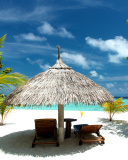 Luxury Beach on Bonaire wallpaper 128x160