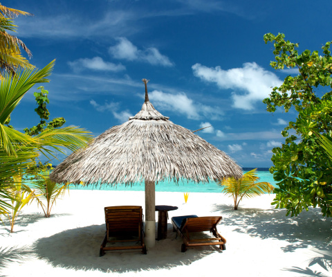 Luxury Beach on Bonaire wallpaper 480x400