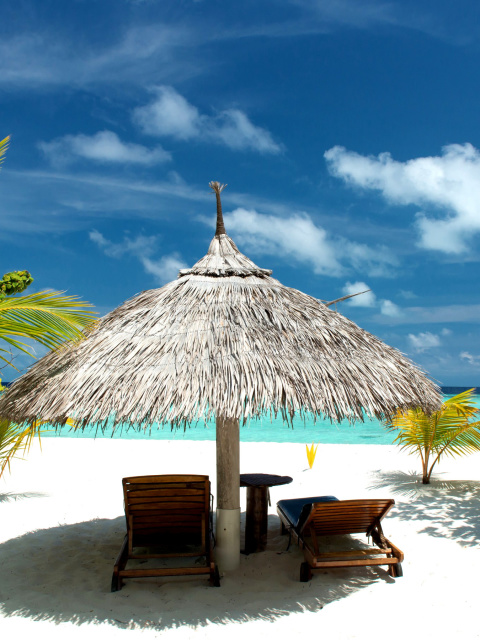 Fondo de pantalla Luxury Beach on Bonaire 480x640