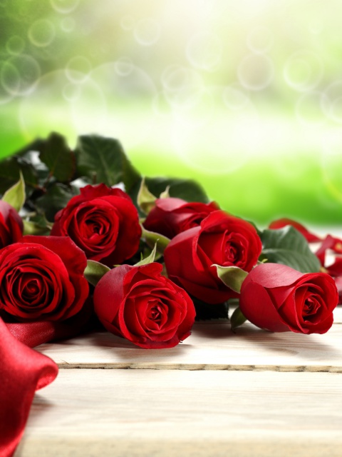 Fondo de pantalla Red Roses for Valentines Day 480x640