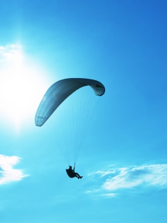 Parachute screenshot #1 240x320