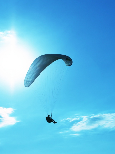 Parachute screenshot #1 480x640
