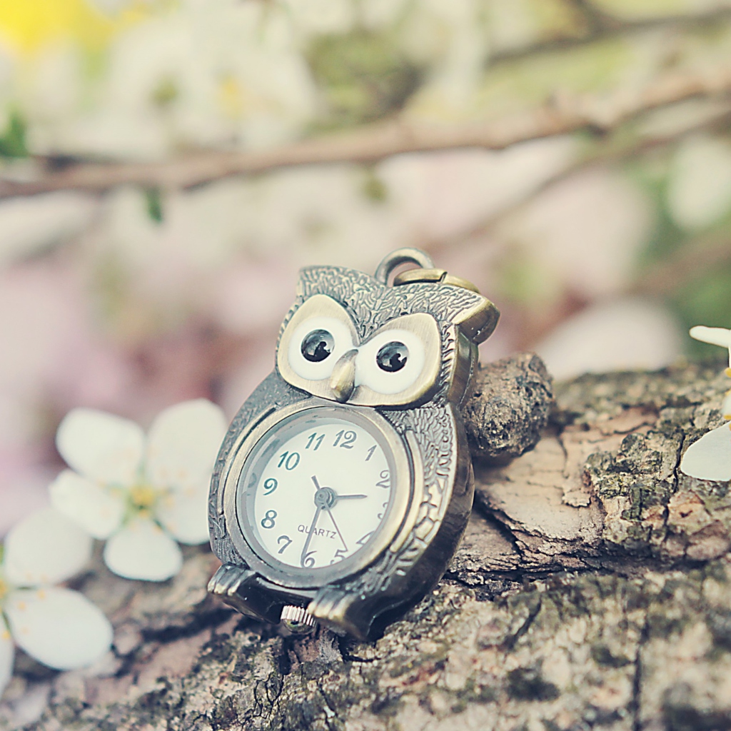 Обои Vintage Owl Watch 1024x1024