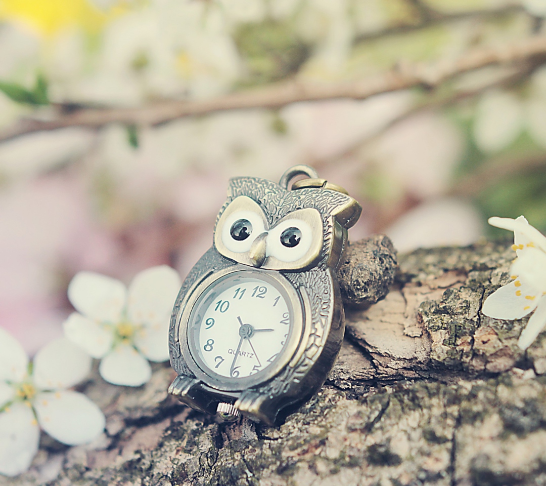 Обои Vintage Owl Watch 1080x960