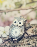 Das Vintage Owl Watch Wallpaper 128x160