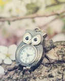 Screenshot №1 pro téma Vintage Owl Watch 128x160