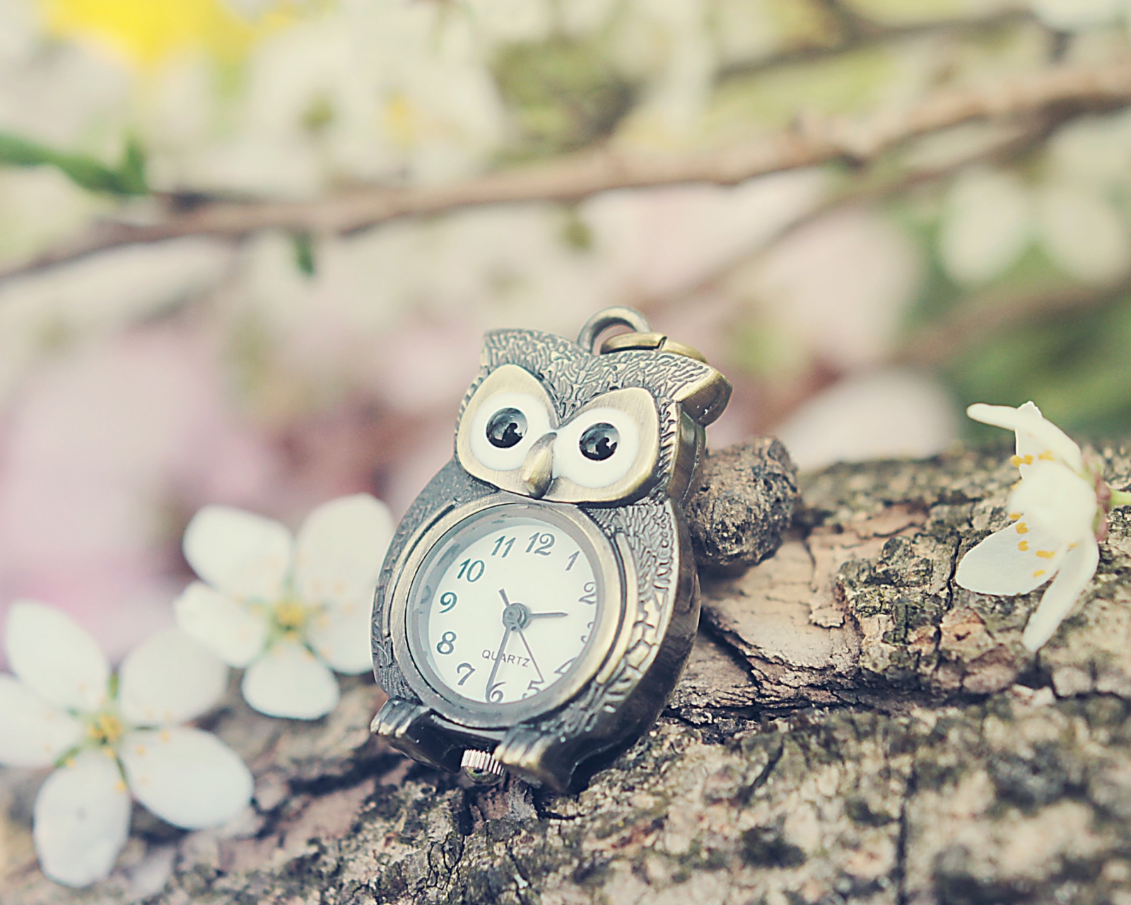 Das Vintage Owl Watch Wallpaper 1600x1280