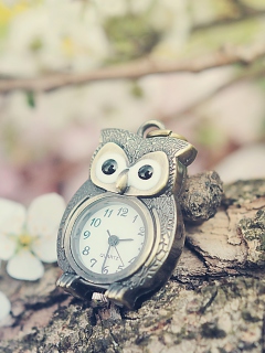 Fondo de pantalla Vintage Owl Watch 240x320