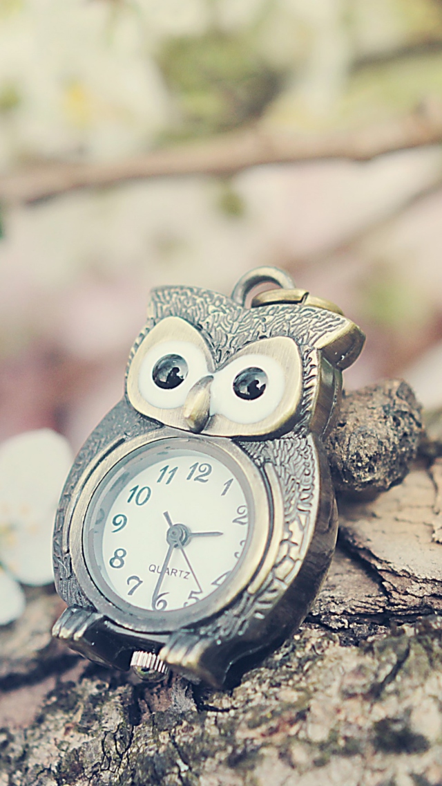 Обои Vintage Owl Watch 640x1136