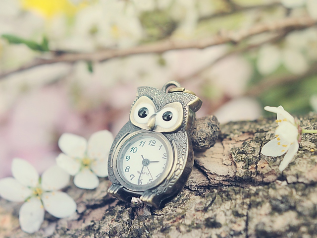 Sfondi Vintage Owl Watch 640x480