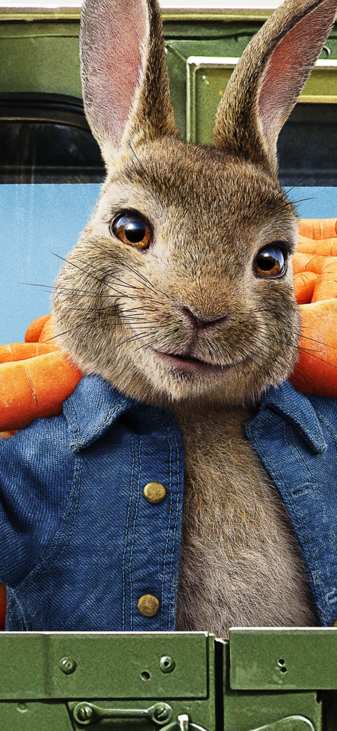 Peter Rabbit 2 The Runaway 2020 wallpaper 1170x2532