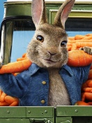 Peter Rabbit 2 The Runaway 2020 wallpaper 132x176