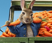 Обои Peter Rabbit 2 The Runaway 2020 176x144