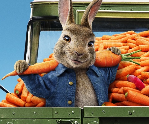 Peter Rabbit 2 The Runaway 2020 wallpaper 480x400
