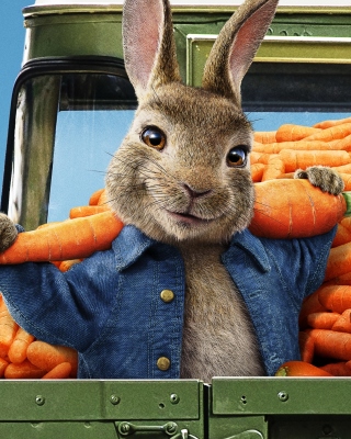 Peter Rabbit 2 The Runaway 2020 - Obrázkek zdarma pro Nokia C5-06
