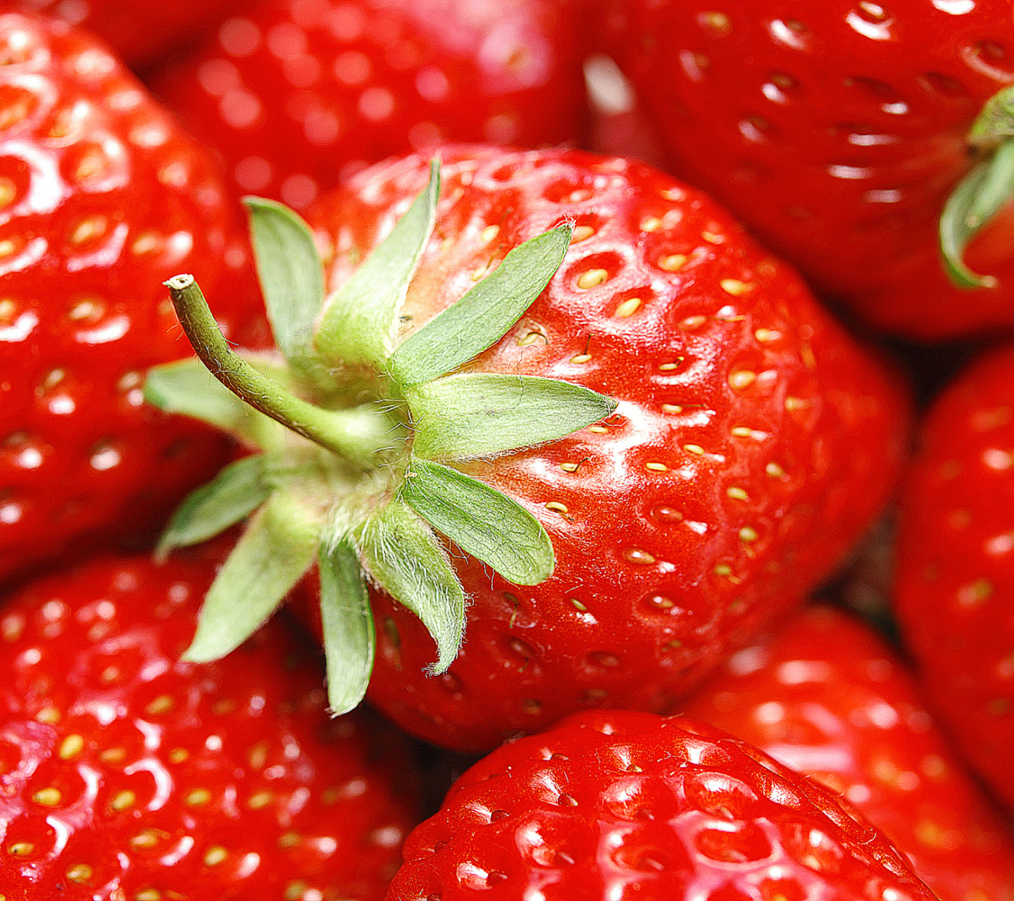 Das Strawberries Wallpaper 1440x1280