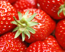 Strawberries screenshot #1 220x176