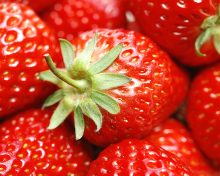 Fondo de pantalla Strawberries 220x176