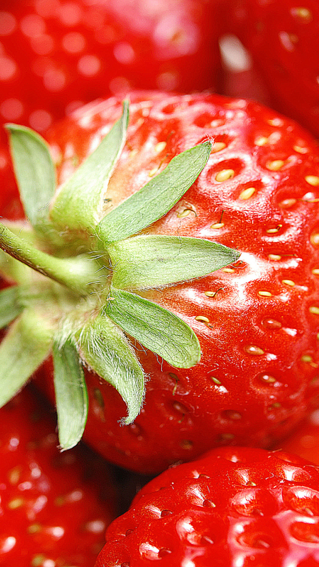 Sfondi Strawberries 640x1136