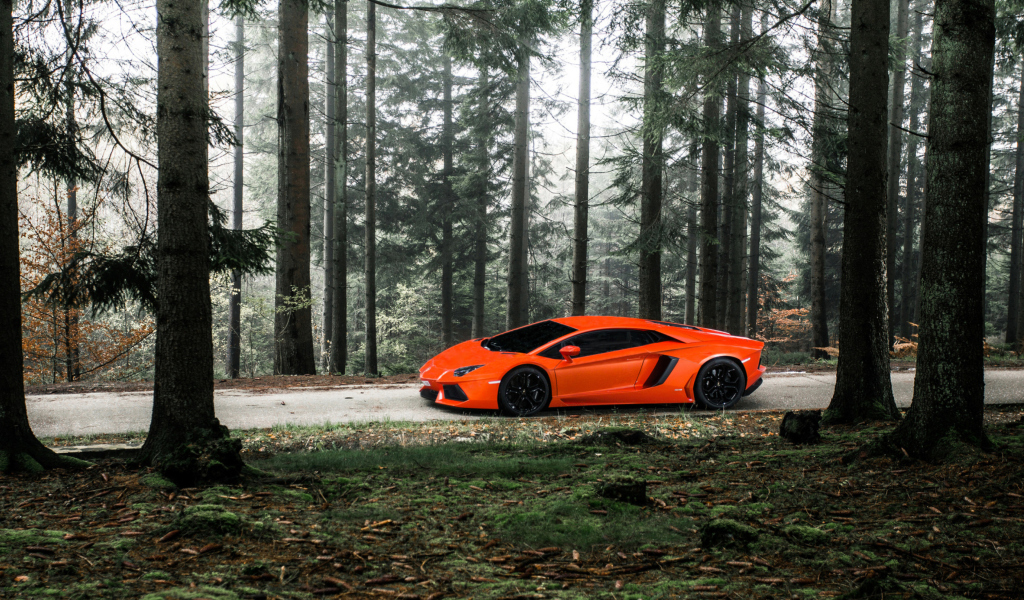 Screenshot №1 pro téma Lamborghini Aventador 1024x600
