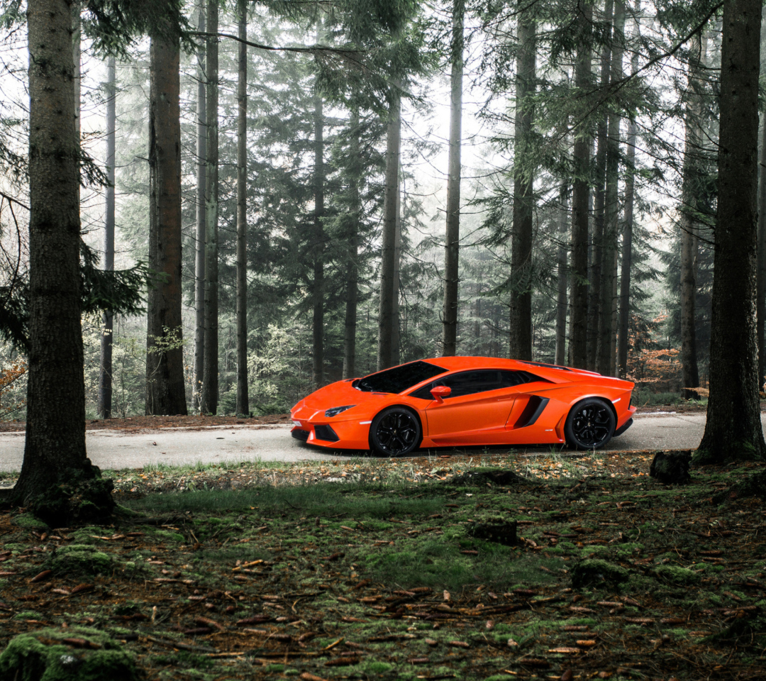 Screenshot №1 pro téma Lamborghini Aventador 1080x960