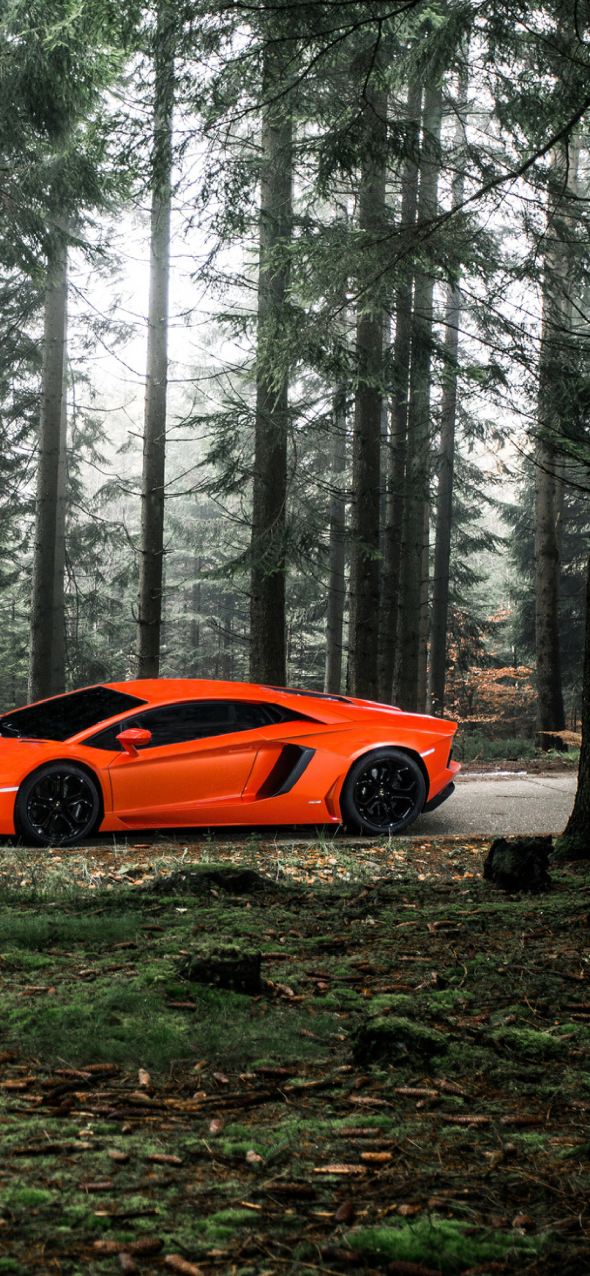 Das Lamborghini Aventador Wallpaper 1170x2532