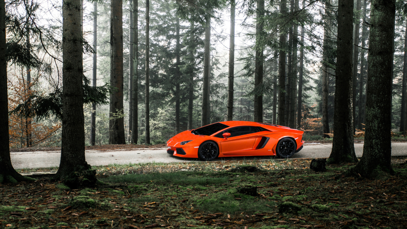 Обои Lamborghini Aventador 1366x768
