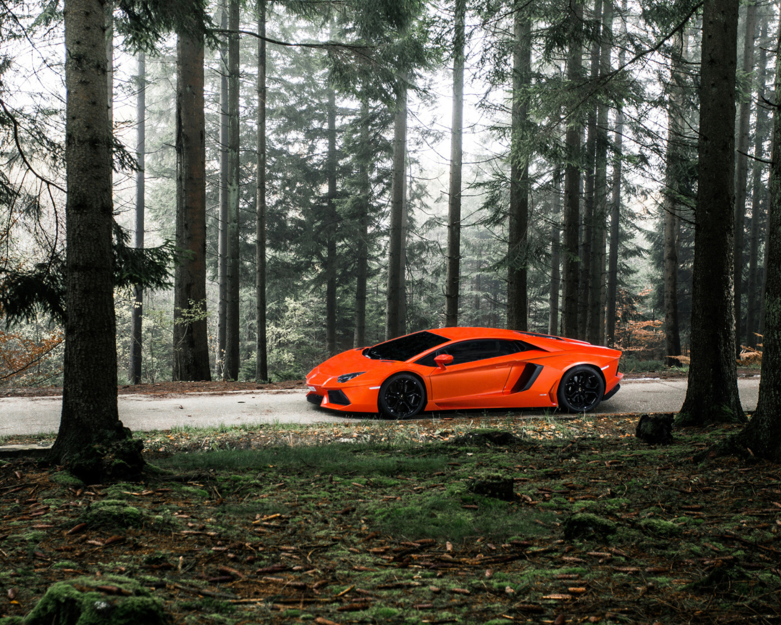 Обои Lamborghini Aventador 1600x1280