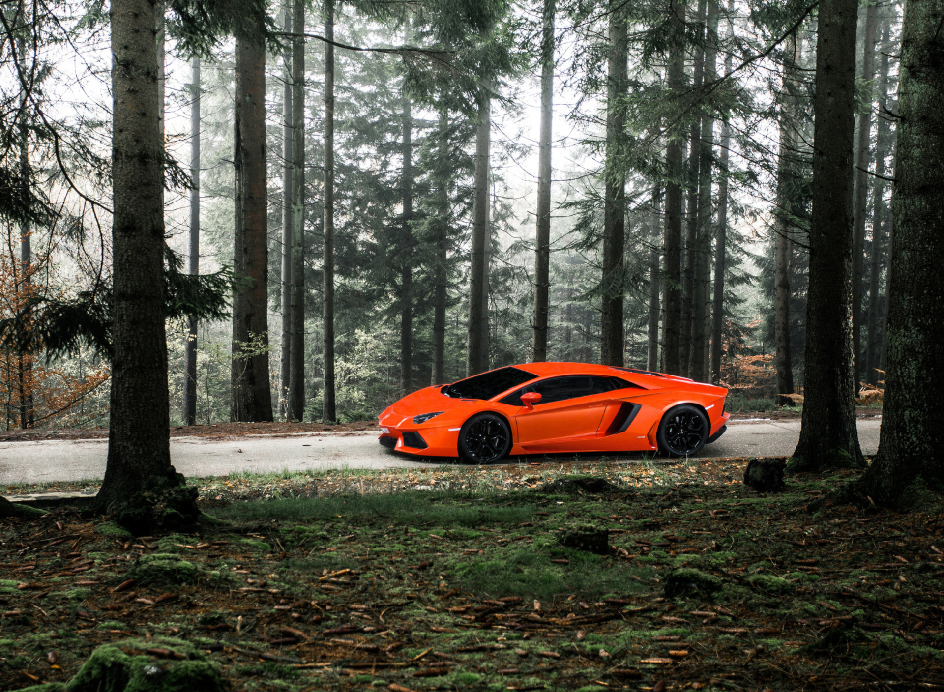 Обои Lamborghini Aventador 1920x1408