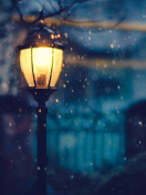 Winter Street Lantern wallpaper 132x176