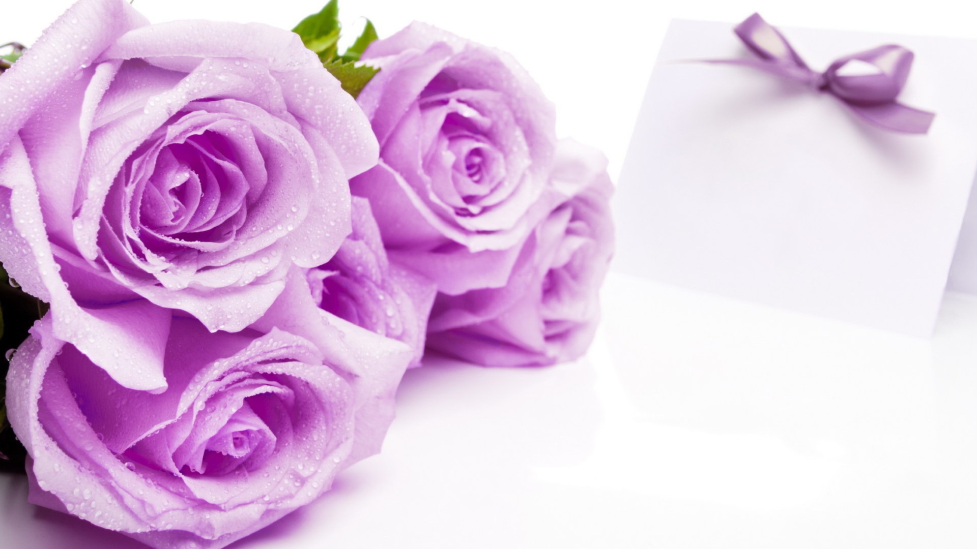 Обои Purple Roses 1920x1080