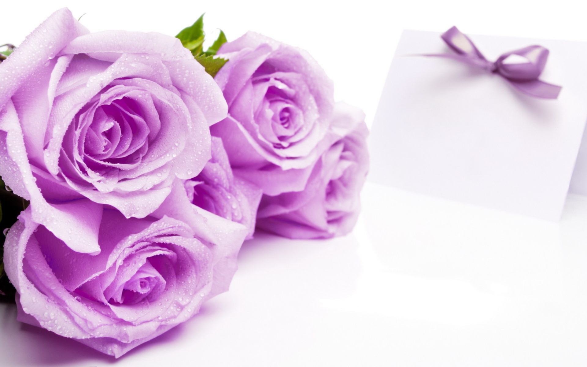 Purple Roses wallpaper 1920x1200