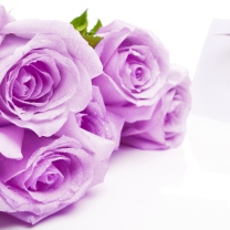 Fondo de pantalla Purple Roses 208x208