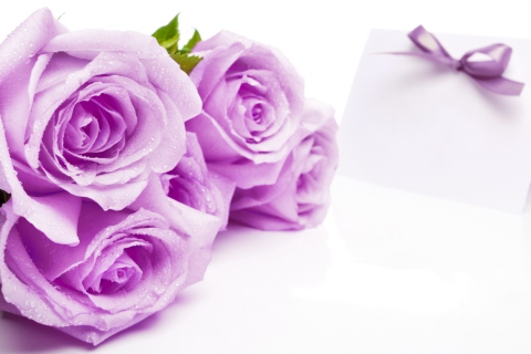 Das Purple Roses Wallpaper 480x320