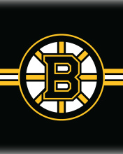 Das Boston Bruins Hockey Wallpaper 176x220