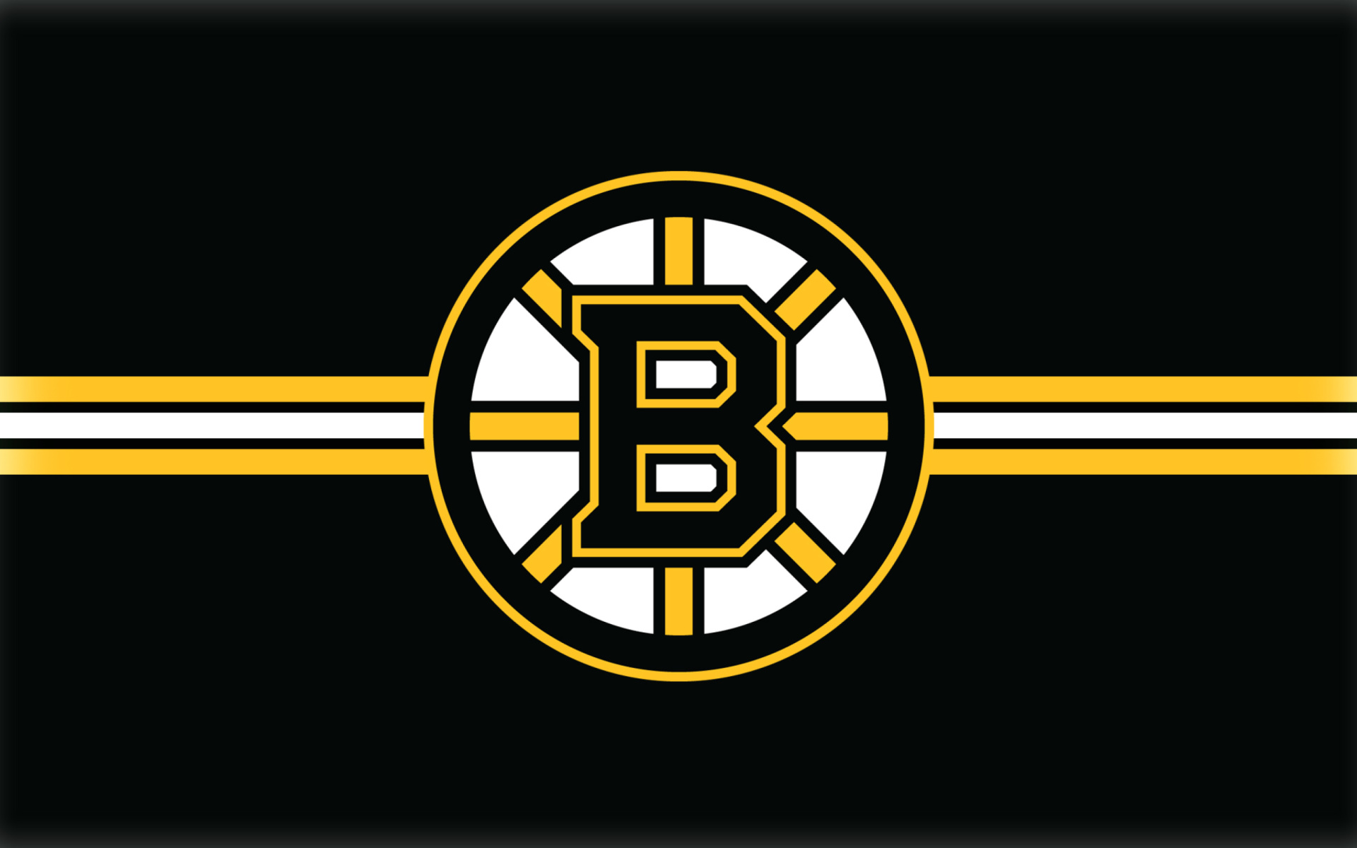 Das Boston Bruins Hockey Wallpaper 1920x1200