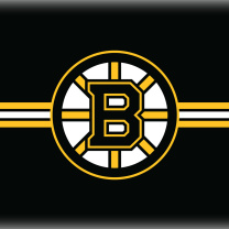 Das Boston Bruins Hockey Wallpaper 208x208