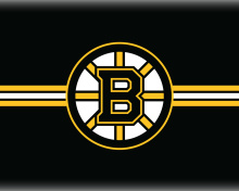 Das Boston Bruins Hockey Wallpaper 220x176