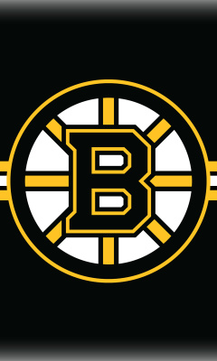 Das Boston Bruins Hockey Wallpaper 240x400