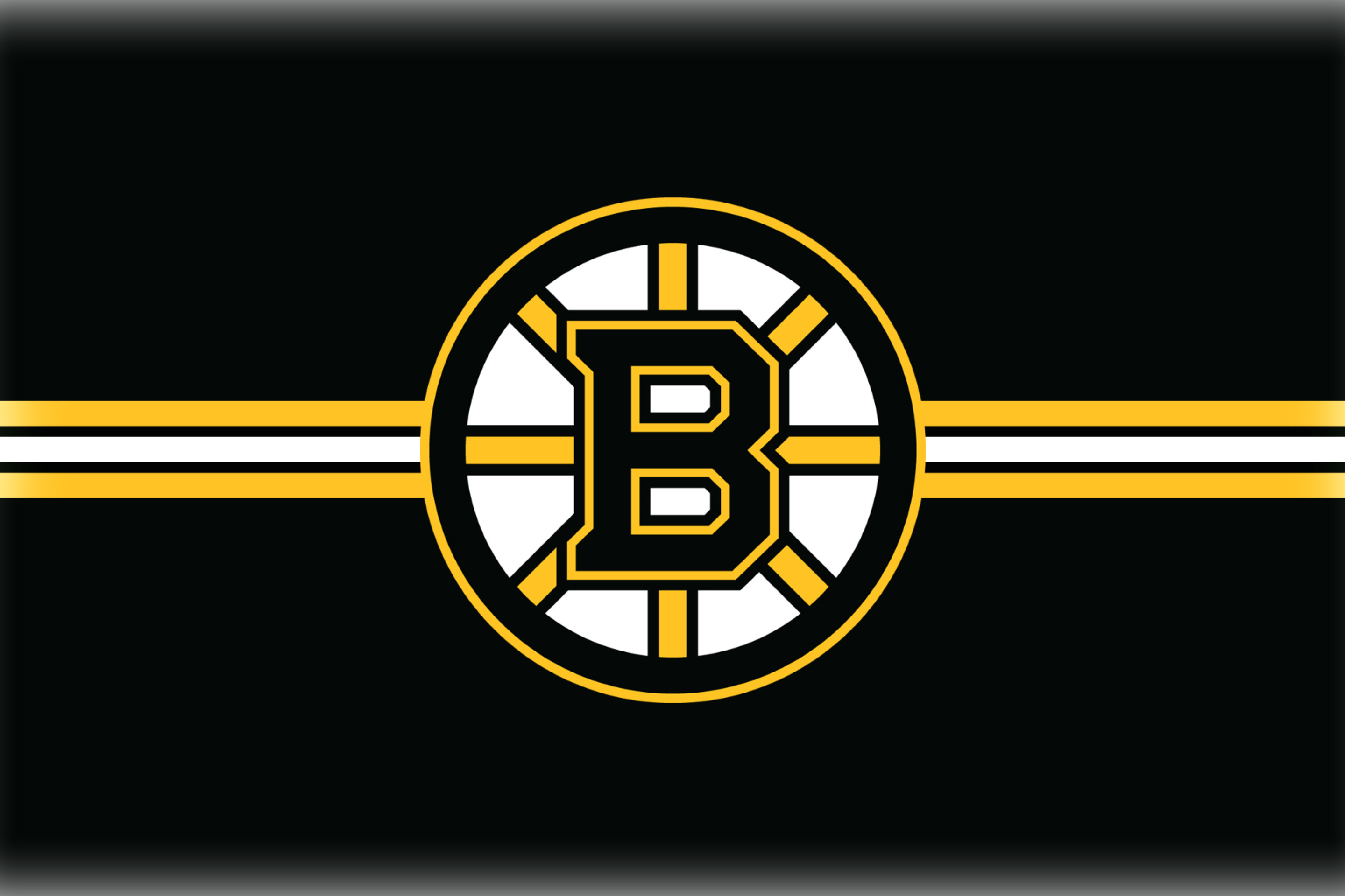 Fondo de pantalla Boston Bruins Hockey 2880x1920