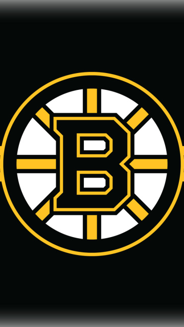 Fondo de pantalla Boston Bruins Hockey 360x640