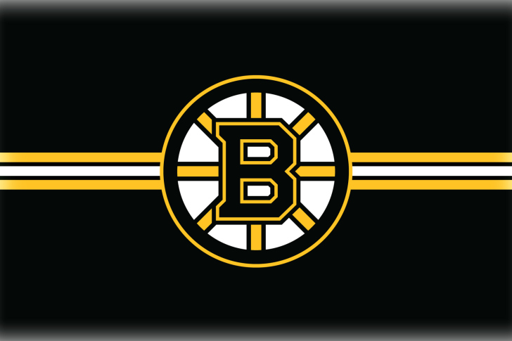 Boston Bruins Hockey screenshot #1