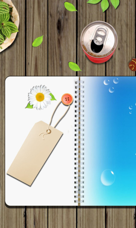 Fondo de pantalla Personal Notebook Diary 480x800